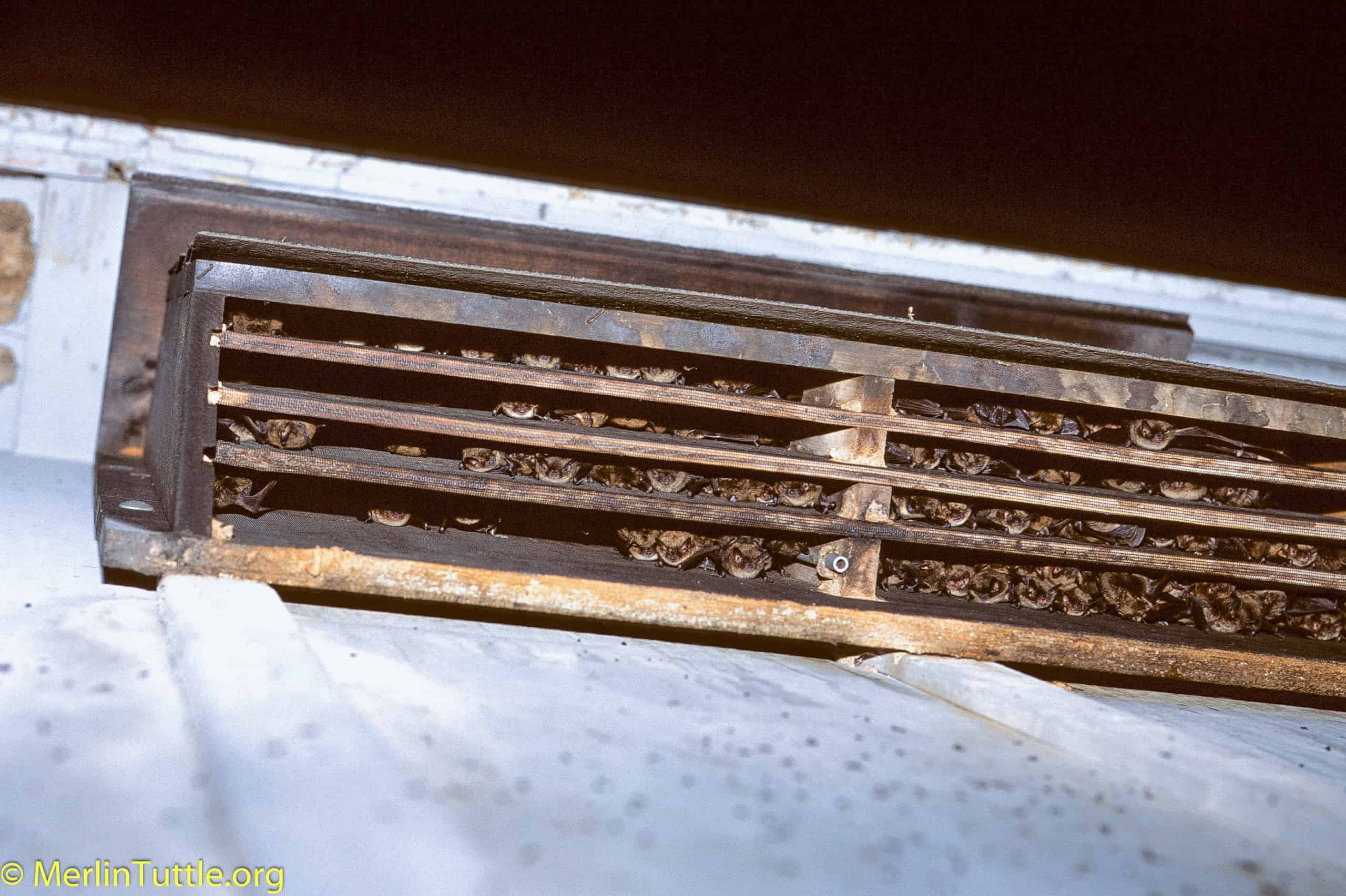 A beautiful sunset over the ocean